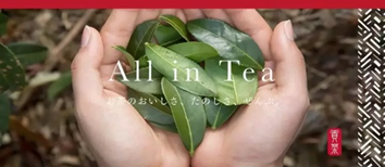 日本近日重现珍珠奶茶热潮，这是怎么一回事？